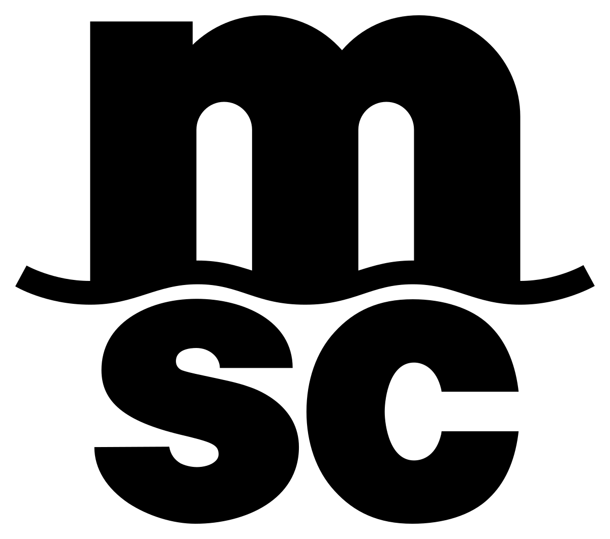 MSC (Mediterranean Shipping Company)